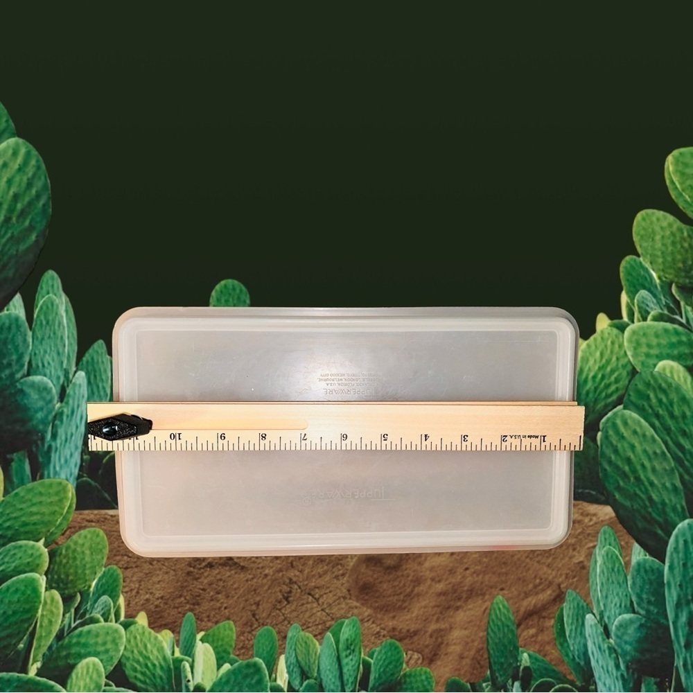 Vintage Tupperware Storage Container (Rectangular) Clear/White - Picture 7 of 7
